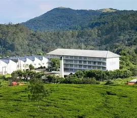 Cultural performances